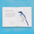THE FIELD GUIDE TO DUMB BIRDS OF THE WHOLE STUPID WORLD - KRACHT. MATT